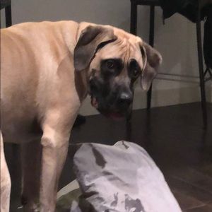 Meet your Posher, Marisa